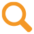 zoom icon